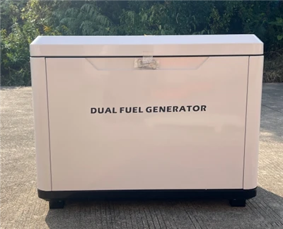 Doppio generatore di carburante da 12 kW GASOLINA GNL GNL GENG GENERATORE PORTATILE BIG PORTATURA