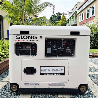 Prezzo di fabbrica Generatore GIRPG GENATORE GENERATORE GUAINE GUIINA MILINE per uso esterno